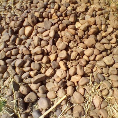 brown-pebbles-supply-nigeria-ground-zero-africa-industries-3